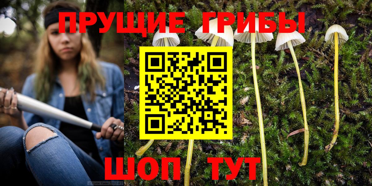 что такое наркотик  Галлюциногенные грибы Magic Shrooms  Вход с VPN  Кунгур 